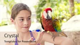  Presentation with parrot - Presentation theme consisting of a scarlet macaw parrot background and a coral colored foreground