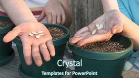  Presentation with science plant - Beautiful slides featuring abstract view of a ceiling lamp backdrop and a yellow colored foreground