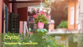  Presentation with flower pots - Audience pleasing theme consisting of a small italian village backdrop and a tawny brown colored foreground