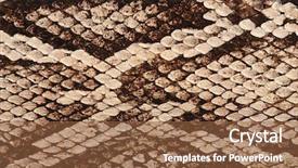  Presentation with reptile - Amazing PPT theme having a snake with scales backdrop and a tawny brown colored foreground