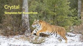  Presentation with hunting - Presentation design consisting of a snowy forest hunting background and a tawny brown colored foreground