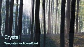  Presentation with enchanted forest - Beautiful PPT theme featuring a spring beech forest backdrop and a tawny brown colored foreground