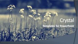  Presentation with nature art - Slide deck consisting of a spring nature fine background and a gray colored foreground