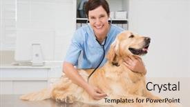  Presentation with vet - Presentation with a stethoscope in medical background and a coral colored foreground