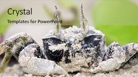  Presentation with cancer - PPT theme featuring picture of a surveillance camera background and a tawny brown colored foreground