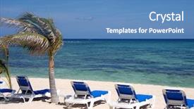  Presentation with beach palm tree wedding - PPT layouts consisting of a struggling palm tree background and a  colored foreground