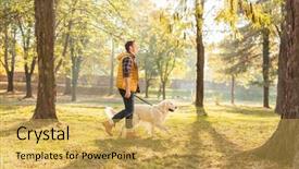  Presentation with dog park - Cool new slide set with a sunny autumn day backdrop and a yellow colored foreground