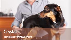  Presentation with grooming dog - Audience pleasing presentation consisting of a sweet dog grooming backdrop and a tawny brown colored foreground