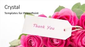  Presentation with pink roses - Cool new slide deck with a thank you card backdrop and a white colored foreground