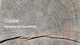  Presentation with tree rings - Audience pleasing presentation design consisting of a tree trunk showing backdrop and a gray colored foreground