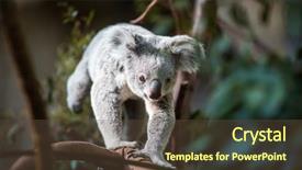  Presentation with australian - PPT theme with a tree with bush background and a tawny brown colored foreground
