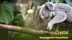  Presentation with green tree - Presentation theme having baby kid is riding on a swing in the autumn in the park background and a light gray colored foreground