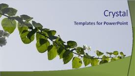  Presentation with india - Amazing theme having a twig gurgaon haryana backdrop and a  colored foreground