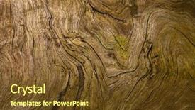  Presentation with tree root - Cool new slide deck with a very old tree backdrop and a tawny brown colored foreground