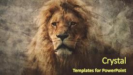  Presentation with lion king - Theme enhanced with a vintage portrait king background and a tawny brown colored foreground