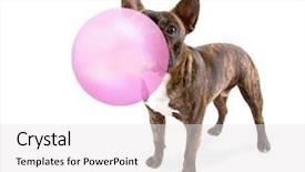  Presentation with pink white - Cool new slides with a white background blowing backdrop and a white colored foreground