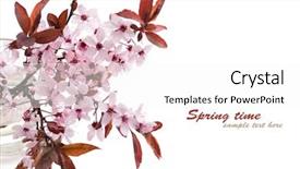  Presentation with cherry - Slide deck enhanced with a white background sakura background and a white colored foreground