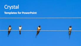  Presentation with sky blue - Beautiful slide deck featuring a wire against blue backdrop and a teal colored foreground