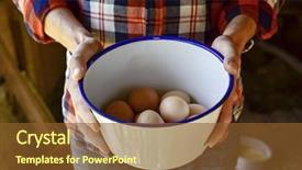  Presentation with chicken - Cool new PPT theme with poultry nutrition free - closeup of a young caucasian backdrop and a tawny brown colored foreground