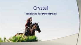  Presentation with horse riding - Colorful slides enhanced with a young dark horse backdrop and a sky blue colored foreground