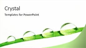  Presentation with water droplet - Slides featuring a3 - macro of water droplet background and a white colored foreground