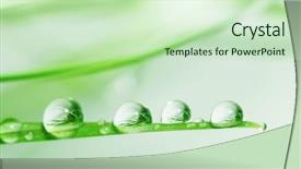  Presentation with water droplets - Beautiful presentation featuring a3 - macro of water droplets backdrop and a soft green colored foreground