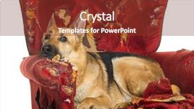  Presentation with german - PPT theme featuring siena - duomo facade the smaller mosaicpresentation of mary in the temple by alessandro franchi background and a dark gray colored foreground