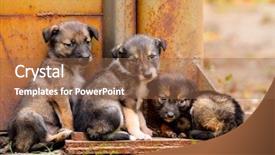  Presentation with lost - Audience pleasing slide set consisting of dressed snowman figurine sitting on red sledge isolated on white background backdrop and a lemonade colored foreground
