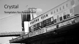  Presentation with aquaculture full of sea fish - Presentation design featuring abandoned fulton fish market nyc background and a light gray colored foreground