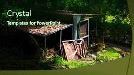  Presentation with forest morning - Cool new PPT layouts with abandoned-shack-in-a-thick backdrop and a wine colored foreground