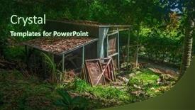  Presentation with forest morning - Presentation theme enhanced with abandoned-shack-in-a-thick background and a tawny brown colored foreground