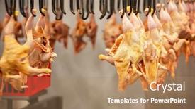  Presentation with conveyor belt - Cool new presentation with abattoir-slaughter-house-conveyor-belt backdrop and a coral colored foreground