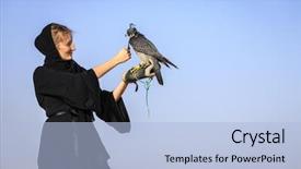  Presentation with abaya - Theme with abaya with peregrine falcon background and a light blue colored foreground