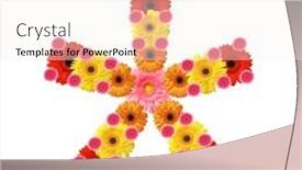  Presentation with abc - PPT theme enhanced with abc flowers mathematical sign multiplication background and a sky blue colored foreground