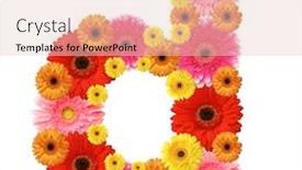  Presentation with abc - PPT theme with abc-flowers background and a lemonade colored foreground