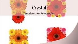  Presentation with abc - Amazing presentation having abc signs punctuation marks backdrop and a lemonade colored foreground