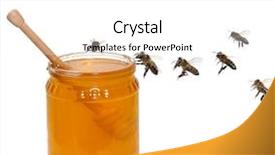  Presentation with bees butterflies - PPT theme with bees background and a white colored foreground