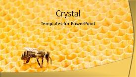  Presentation with abeille - Audience pleasing presentation design consisting of roasted coffee beans on a brown wooden table backdrop and a tawny brown colored foreground