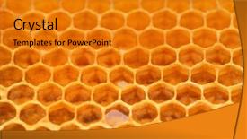  Presentation with honeycomb - Audience pleasing presentation theme consisting of abeille - fresh honeycomb as background closeup backdrop and a gold colored foreground