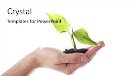  Presentation with housing growth - Cool new presentation design with abound - floral background a theme backdrop and a white colored foreground