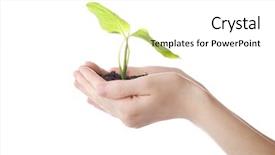  Presentation with spiritual growth and maturity - Presentation theme with abound - floral background a theme background and a white colored foreground