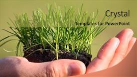  Presentation with grab hand - Cool new presentation theme with abound - growing grass on hand backdrop and a  colored foreground