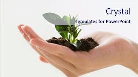  Presentation with hand holding plant - Slide deck enhanced with abound - image of female hand holding background and a sky blue colored foreground