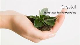  Presentation with white green - Cool new slide set with abound - photo of green plant backdrop and a sky blue colored foreground