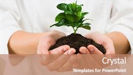  Presentation with beautiful green - Amazing PPT theme having abound - portrait of beautiful green plant backdrop and a coral colored foreground