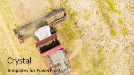  Presentation with rapeseed - Cool new presentation theme with above agriculture and environment backdrop and a yellow colored foreground