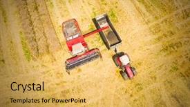  Presentation with rapeseed - Slide deck featuring above agriculture and environment background and a yellow colored foreground