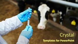  Presentation with dairy farm - Slides having above-angle-of-gloved-hands background and a tawny brown colored foreground