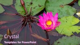  Presentation with green leaves - PPT theme enhanced with above-bright-flower-and-green background and a tawny brown colored foreground