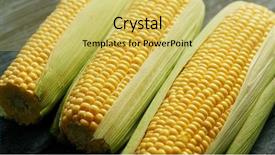  Presentation with dark green - Amazing slide deck having above closeup shot of maize backdrop and a yellow colored foreground